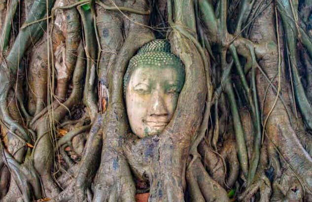 Escursione alle rovine di Ayutthaya - Foto 3