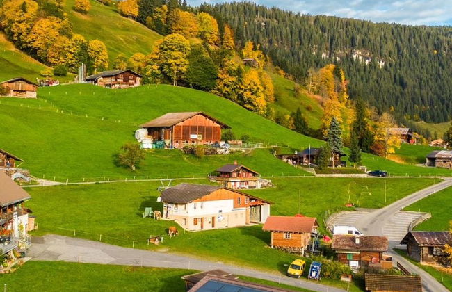 Serviced Apartment Chalet Bärgblüml i Ha - Foto 78