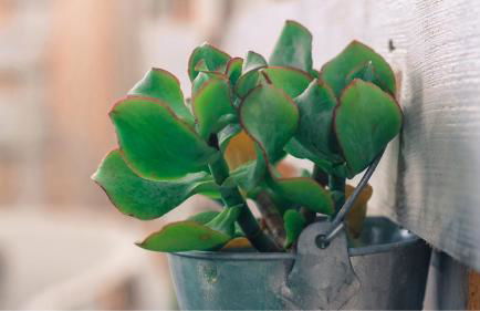 The Pradise of Ana Vemar Exclusive Apartament - Foto 12