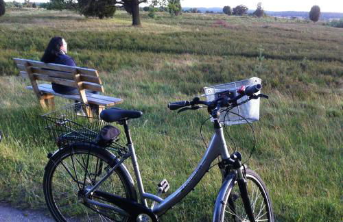 Haus Petersen - Foto 29