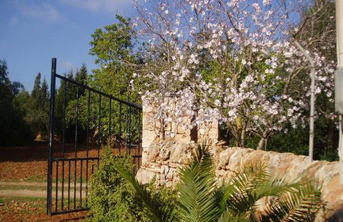 carpe Diem - Foto 17