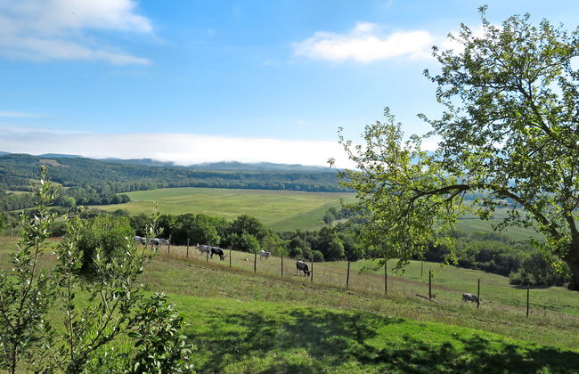 Ginestre 9 - Foto 19