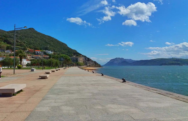 Escursione ad una fabbrica di acciughe a Santoña + Giro in barca - Foto 4