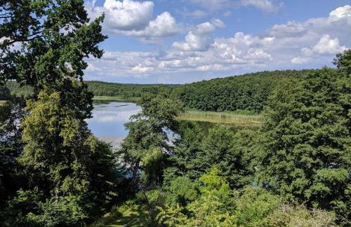 Ferienhaus am See - Foto 7