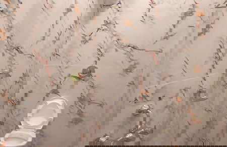 Orion Blu Yercuad - Foto 35