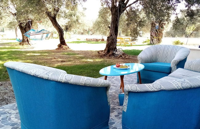 Yazduf Family Homes - Foto 27