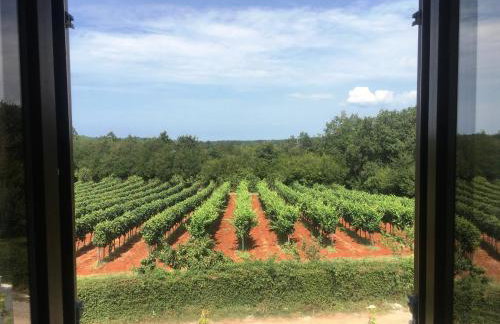 Villa Luka - Photo 37