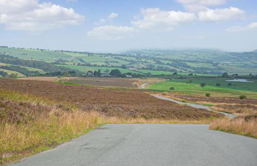 Dol Y Mynydd The Mountain Meadow - Cottage - Photo 40
