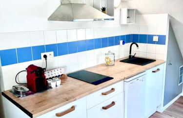 Au pieds du vignoble Colmarien - Foto 11