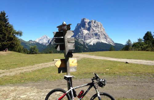 Cesa de Conesel - Foto 55