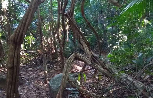 Senderismo por el Pan de Azúcar - Foto 2