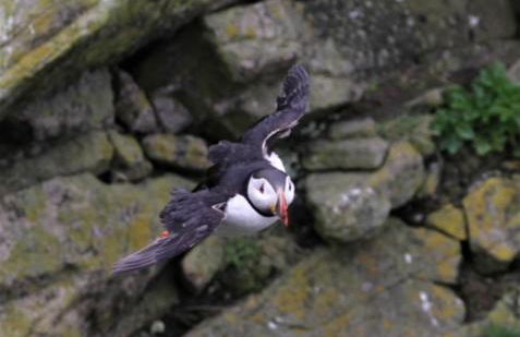 Midgarth House Apartments - Foto 27