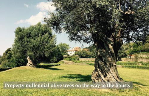 Swimming Pool Bedroom at Casa dos Macieis, Camino Santiago direct access & Optional Agritourism - Foto 8