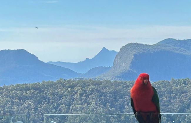 Belvedere Summer House - Foto 38