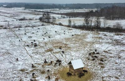 Leśna 21 Dom Południe przy PUSZCZA BIAŁOWIESKA - Foto 57