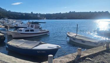 Apartman Janska - Foto 3