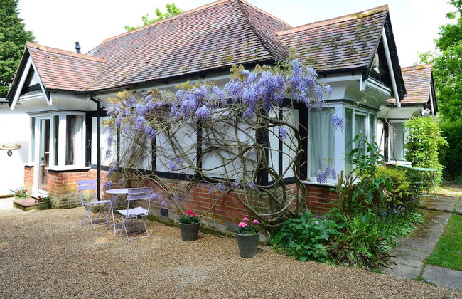 Pinewood Cottage Deluxe Self Catering Apartments - Foto 36