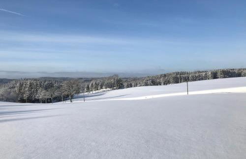 Villa Holgenbach - Penthouse und Ferienwohnung im Nationalpark Eifel - Foto 66