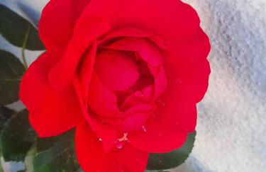 Appartamento Rosanna - Foto 6