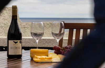 Casa Beira Mar - Photo 49