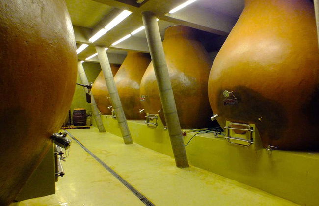 Isla de Maipo Wine Tour - Photo 9