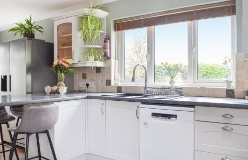 Rhosyn Gwyn - Foto 8