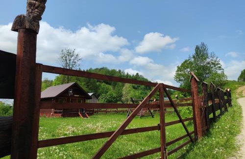 Gumisiówka - Foto 18