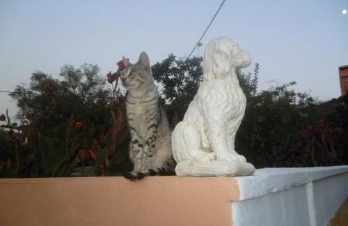 Kostas studios - Foto 35