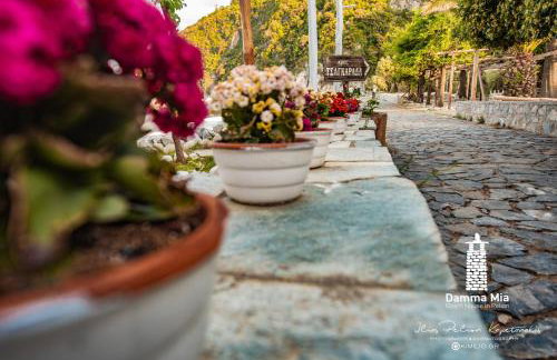 Damma Mia - Foto 57