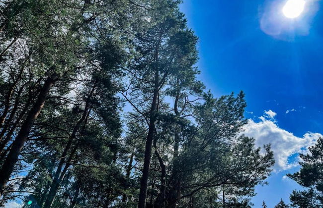 Herentals Hideaway With Balcony - Foto 28