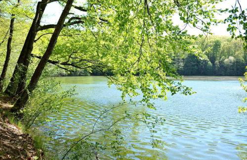 Holiday home Bauernhauschen in the Rhon - Foto 18