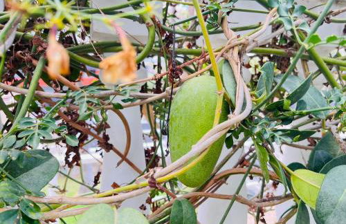 Villa Nautica Puerto Rico by Alquiler de Súeño - Photo 53