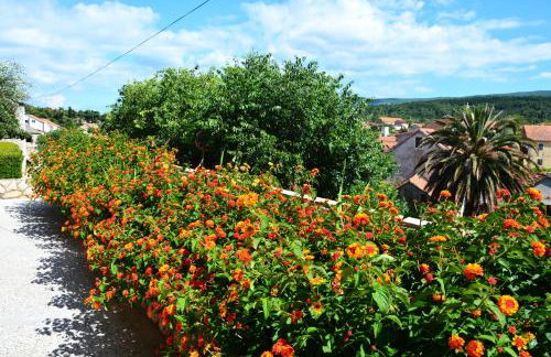 Apartments Ena - Foto 36