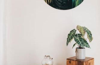 Stilvolles Apartment in Dresden - Foto 27