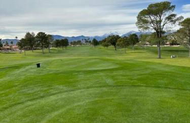 Chilled Salt Pool Luxury Firepit Mini Golfing - Foto 24