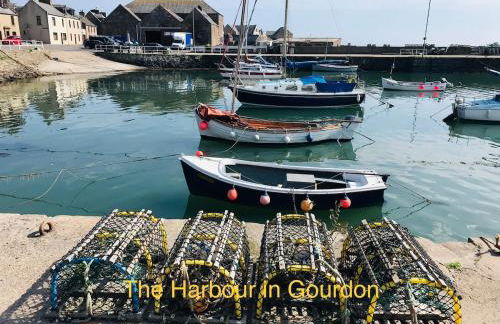 Driftwood - Photo 31