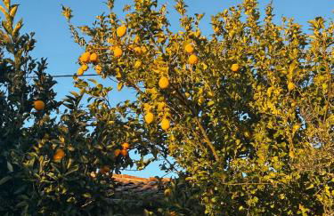 Alojamento Local Vale dos Vascos - Photo 11