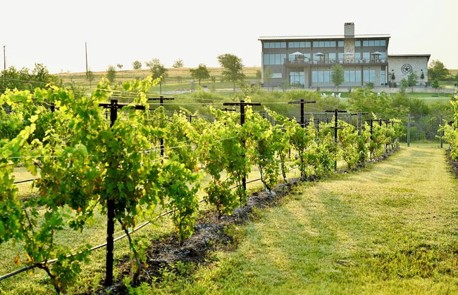 Chapelton Villas - Foto 11