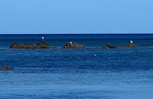 Villa Bianca - Foto 68