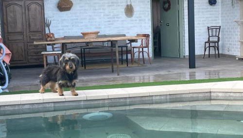 Aura Rural, Montes de Toledo - Foto 2