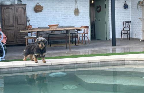 Aura Rural, Montes de Toledo - Foto 2