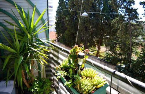 Spacious Apartment Center - Photo 41