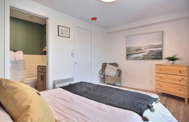 Unique & Sunny Top Floor Old Quebec Gem - Photo 5