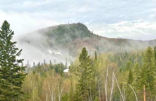 Cozy Townhome at Lutsen Mtn - Ski-in, Ski-out, Pool, Hot Tub, Fitness Center, resort amenities galore! - Foto 55