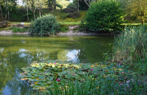 La maison et l'étang de pêche - Foto 20