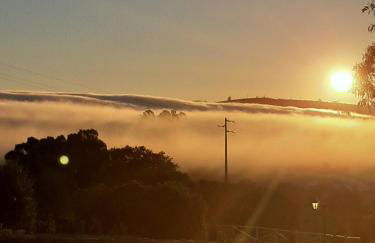 Chou da Covinha - Foto 16