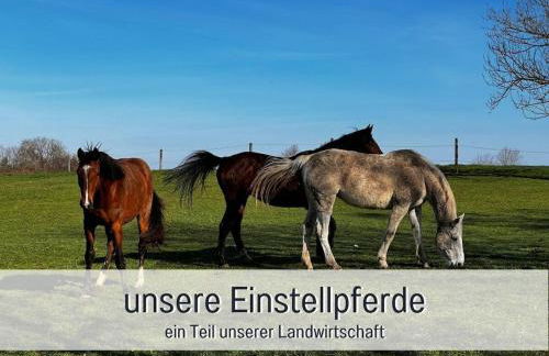 "Am Backhäusl" Comfortable holiday residence - Photo 18