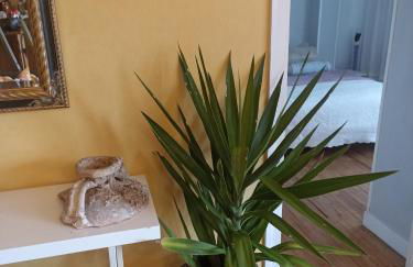 apartamento céntrico zona Marques de comillas 8 - Foto 14