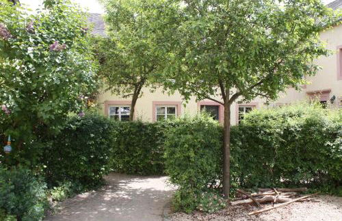 Nengshof Ferienwohnungen Mohnblume und Kornblume - Foto 37