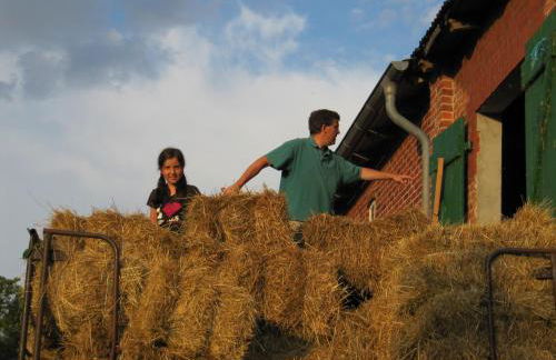 Ferienhof Utech - Foto 70